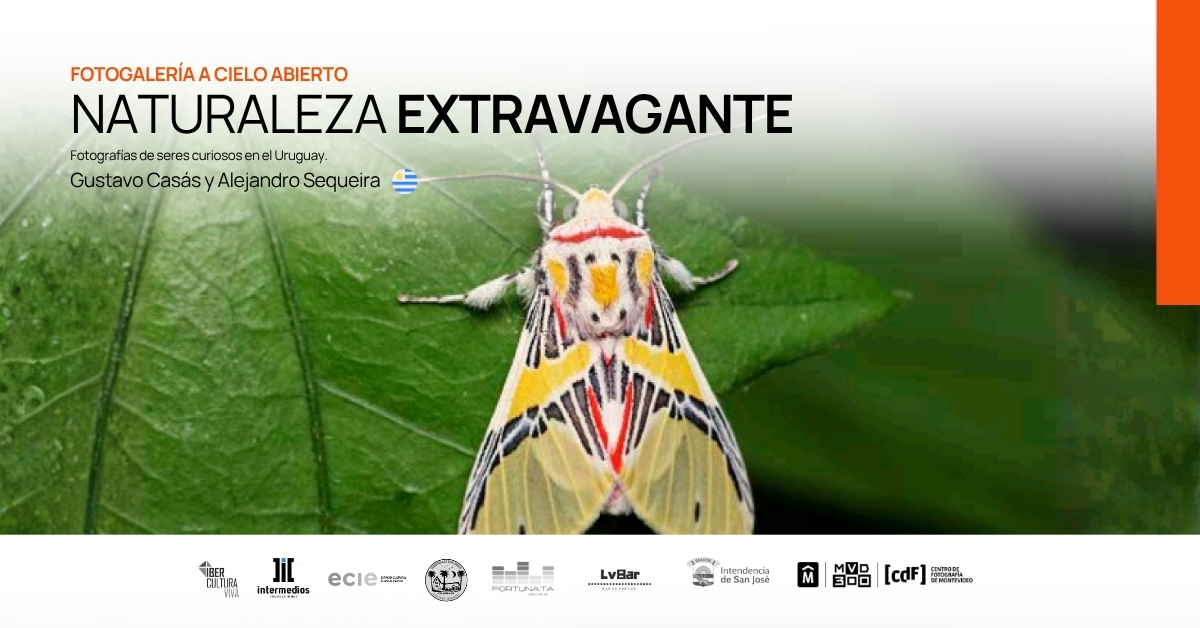 Naturaleza extravagante